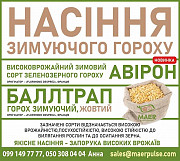 Реалізуємо насіння озимого гороху Авірон, Баллтрап із м. Київ