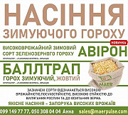 Продаємо насіння зимуючого гороху Авірон, Баллтрап із м. Київ