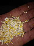 Продам побічні продукти кукурудзи, зерновідходи із м. Суми