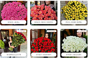 N&l Flower Shop: Доставка квітів по Києву, Херсону та Миколаєву Київ