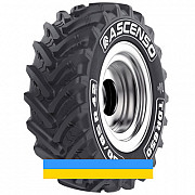 480/65 R24 Ascenso TDR 650 140D Сільгосп шина Київ