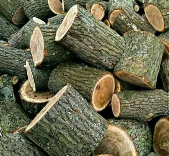 Продам дрова дуб Луцьк Луцьк - зображення 1