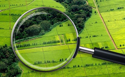 Продаж земельної ділянки під житлову забудову с. Аполлонівка, Солонянський р-н, Дніпропетрововська о Дніпро - зображення 1