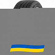 245/40 R20 Davanti Wintoura+ 99W Легкова шина Киев