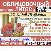 Облицовочные кирпичи «литос» и «fashion Brick» (разноцветный) із м. Луганськ