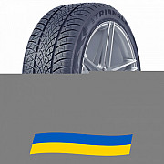 225/45 R17 Triangle WinterX TW401 94V Легкова шина Київ