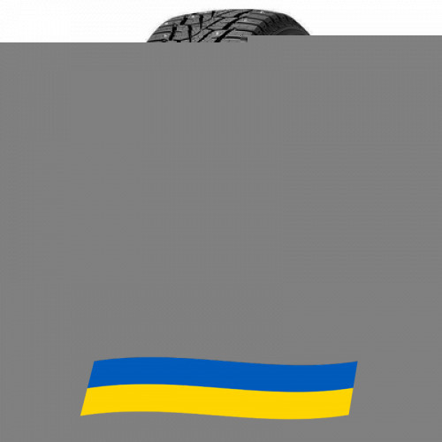 225/50 R17 Nexen WinGuard WinSpike 98T Легкова шина Киев - изображение 1
