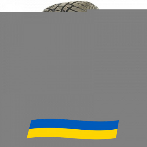275/65 R18 Roadmarch PrimeMax A/T II 116T Позашляхова шина Київ - зображення 1