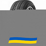245/45 R19 Roadstone WinGuard ice Plus WH43 102T Легкова шина Киев