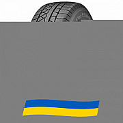 265/65 R17 Petlas Explero Winter W671 116H Легкова шина Київ