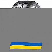 265/35 R19 Hankook Winter i*cept evo3 W330 98W Легкова шина Київ