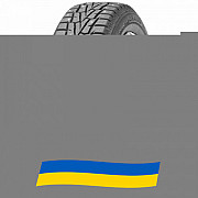 215/55 R17 Roadstone WinGuard WinSpike 98T Легкова шина Киев