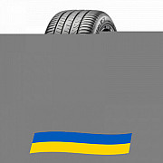 255/45 R19 Pirelli Cinturato P7 (P7C2) 104Y Легкова шина Киев