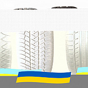 295/35 R20 Michelin Pilot Alpin PA3 105W Легкова шина Киев