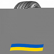 255/65 R17 Bridgestone Blizzak DM-V3 110S Позашляхова шина Киев