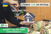 Кредит від приватного інвестора під заставу квартири у Києві. Київ