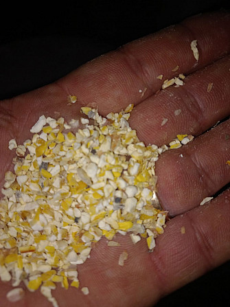 Зерновідходи. Побічний продукт з кукурудзи. Харків - зображення 1
