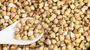 Продам зерно гречки від 5 тонн из г. Сумы
