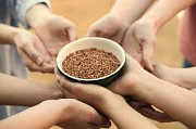 Продаємо зерно гречихи від 5 тонн із м. Івано-Франківськ