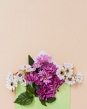 Букети хризантем з доставкою від крамниці квітів “flowers Story” у Запоріжжі Запорожье