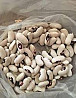 Куплю квасолю із м. Житомир