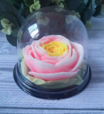 Чайна троянда в купольній упаковці – вага 130 грам! из г. Днепр