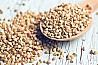 Продаємо оптом насіння гречки из г. Днепр
