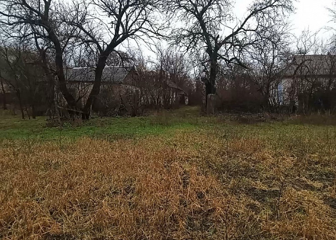 Продаж земельної ділянки під житлову забудову на Яценка Юрія вулиця Миронівка - зображення 1