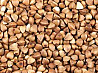 Продаж гречихи (зерно гречки) из г. Винница