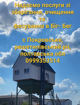 Зберігання, перевалка, очищення, фасування зерна Чернигов - изображение 1