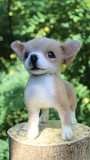 Чихуахуа валяна іграшка собака інтерєрна реалістична мініатюра пес валяние ручна робота із м. Одеса