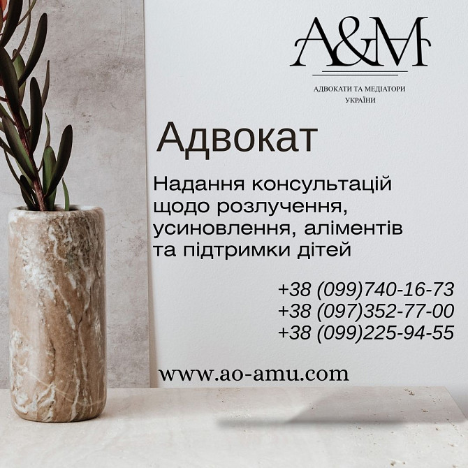 Надання юридичних консультацій щодо розлучення, усиновлення, аліментів та підтримки дітей Харків - зображення 1
