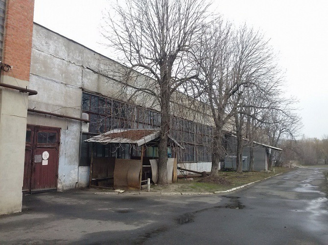 Виробничі та офісні приміщення Полтавська Обл, м. Карлівка 10 628, 9 М2 Карлівка - зображення 1