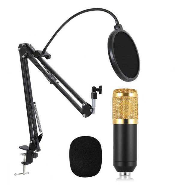 Мікрофон Студійний конденсаторний Music Dj. M-800u зі стійким та вітрозахистом Львів - зображення 1