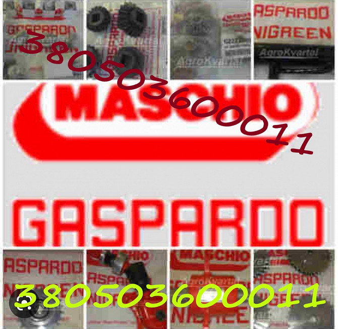 Запчастини для сільськогосподарської техніки від Gaspardo Дніпро - зображення 1