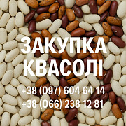 Закупівля квасолі оптовими партіями из г. Винница