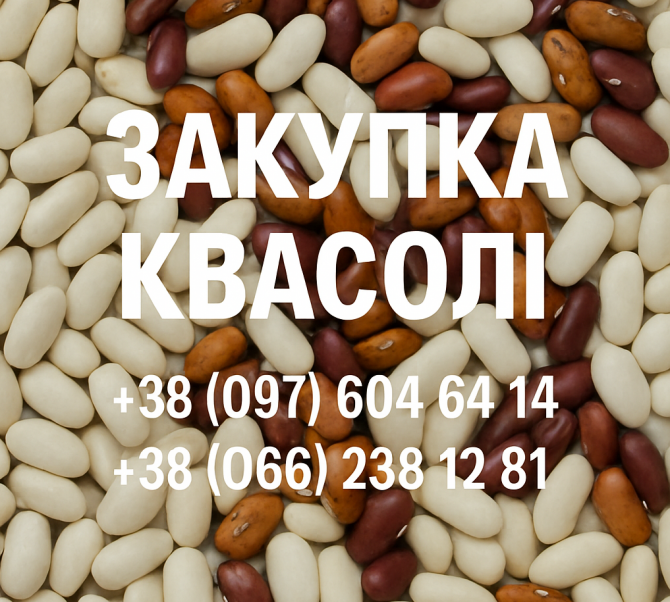 Купуємо квасолю різних сортів Ужгород - зображення 1