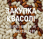 Купуємо квасолю. Заберемо своїм транспортом із м. Тернопіль