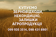 Купуємо некондиційне зерно та побічні продукти из г. Киев