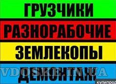 Разнорабочиегрузчикиподсобникиземлекопы(выполним любые работы) другие Одесса Одеса - зображення 1