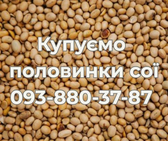 Закуповуємо половинки сої — стабільно та вигідно Миколаїв - зображення 1