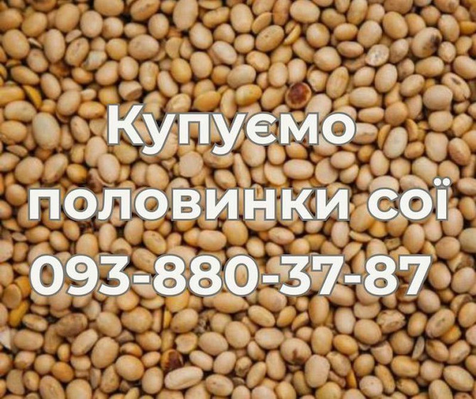Закуповуємо половинки сої (оплата Ф1, Ф2) Вінниця - зображення 1
