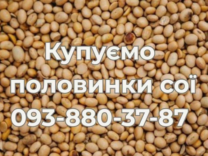 Купівля половинок сої на постійній основі Хмельницький - зображення 1