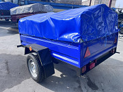 Новий автомобільний причіп 200х130х40 (дніпро-200) із м. Полтава