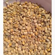 Купуємо сою (половинки) із м. Хмельницький