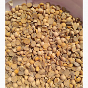 Постійно приймаємо половинки сої из г. Кропивницкий