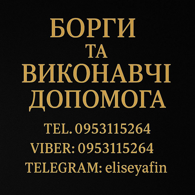 Борги та Виконавчі. Допомога Киев - изображение 1