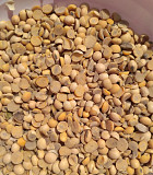 Половинки сої купуємо оптом из г. Черкассы