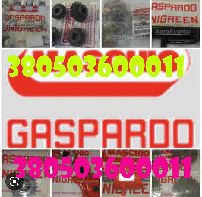 Оригінальні запчастини Gaspardo Дніпро - зображення 1