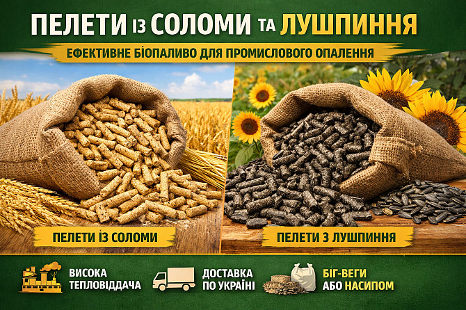 Пелети із соломи та пелети лушпиння для промислового використання Житомир - зображення 1